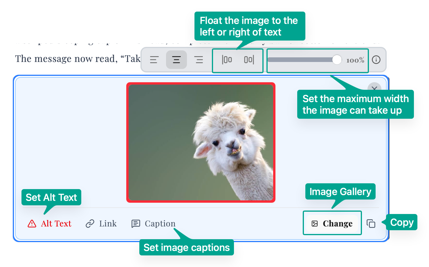 Image view showing alignment controls, text float options, width slider, alt text, link, caption, and image gallery access